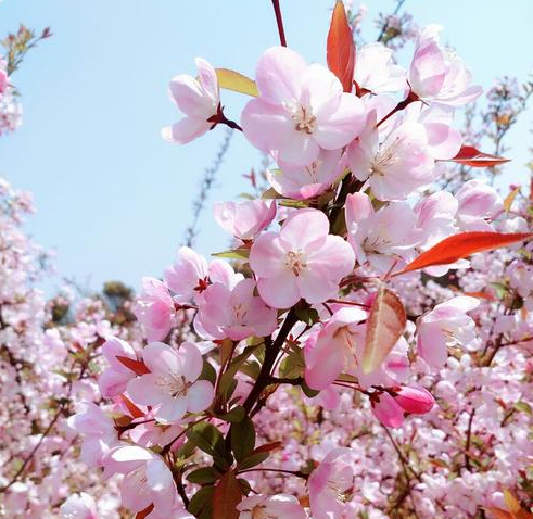 莱芜微信平台_莱芜微信小程序推广_济南微信推广