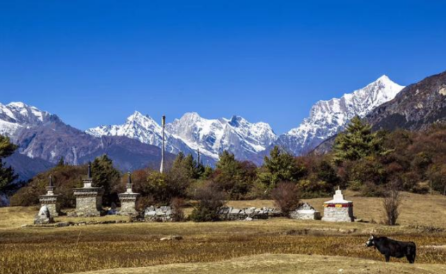 來了先住3天|乃夏村|世外桃源|村莊|西藏|雪山|吉隆縣