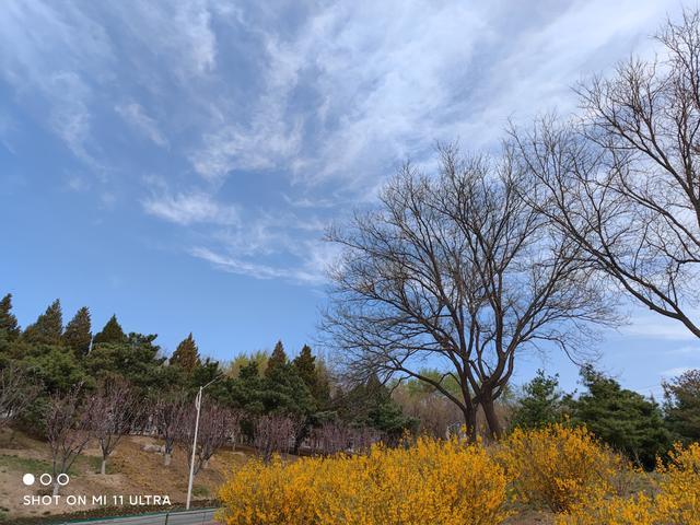 小米11ultra影像评测三主摄全焦段影像系统到底有多能打