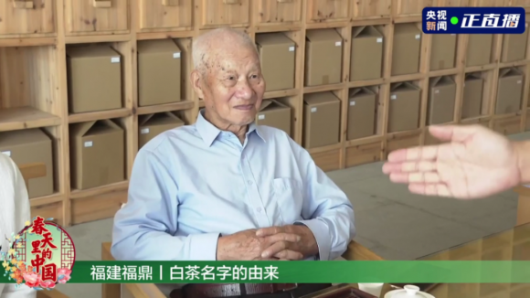 行走的白茶字典,中国制茶大师,中国白茶特殊贡献者,东家匠人王奕森