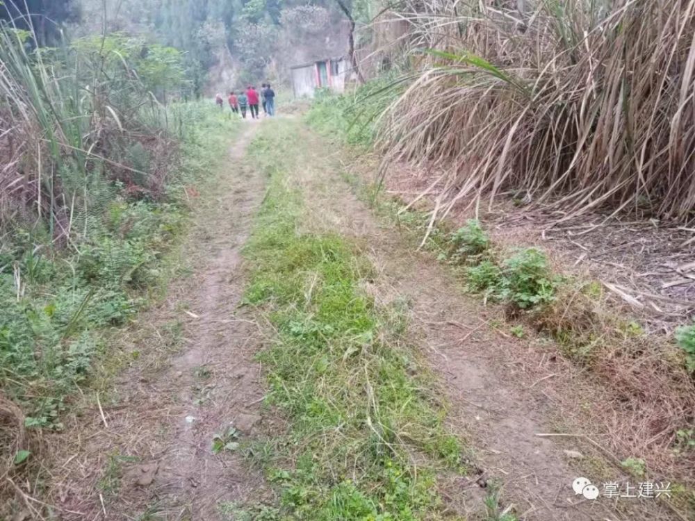 南充市区有多少人口_嘉陵江畔消失的码头见证南充城市历史变迁(2)