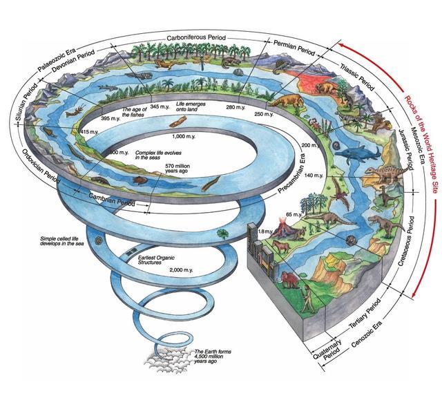 地球生物进化表图片