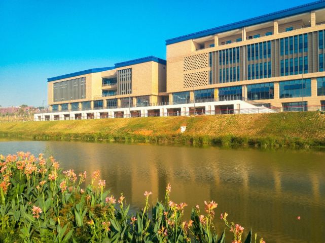 佛山狮山校园美景春日仙溪图书