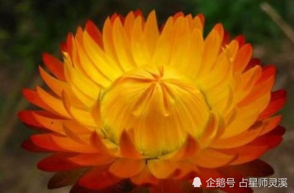 苦尽甘来好运连连 哪些星座3月31日贵人运爆棚 腾讯新闻