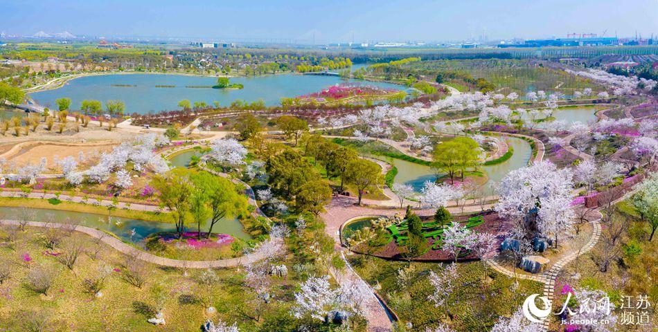 南通洲际梦幻岛迎来最美赏花季 将于年内投入运营