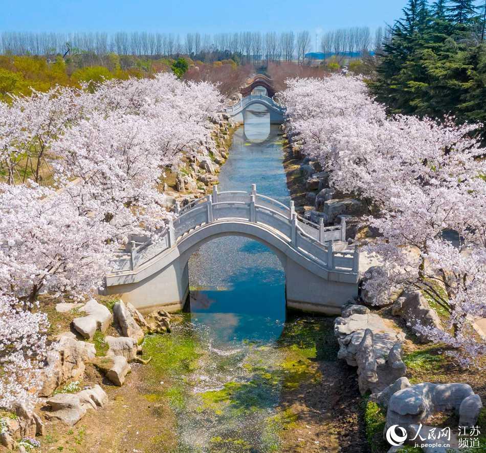 南通洲际梦幻岛迎来最美赏花季 将于年内投入运营
