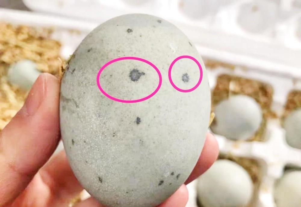 凉拌皮蛋好不好吃,关键在于料汁,大厨教你这样做,味道不输饭店_腾讯