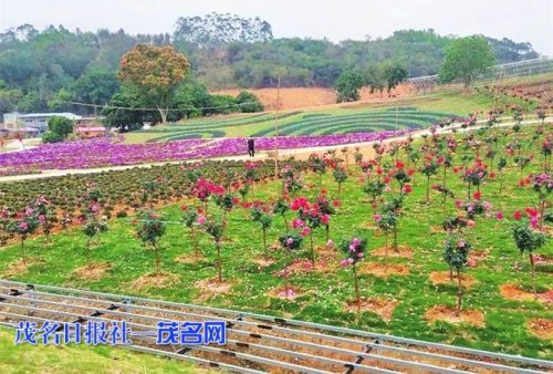 那务拟引资7亿打造农业休闲生态旅游区