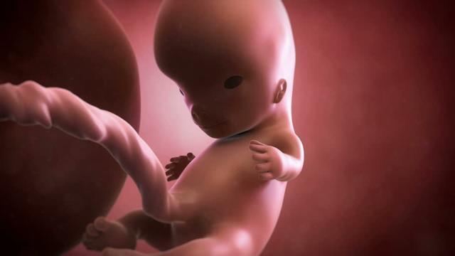 33周胎儿在肚子里姿势图片