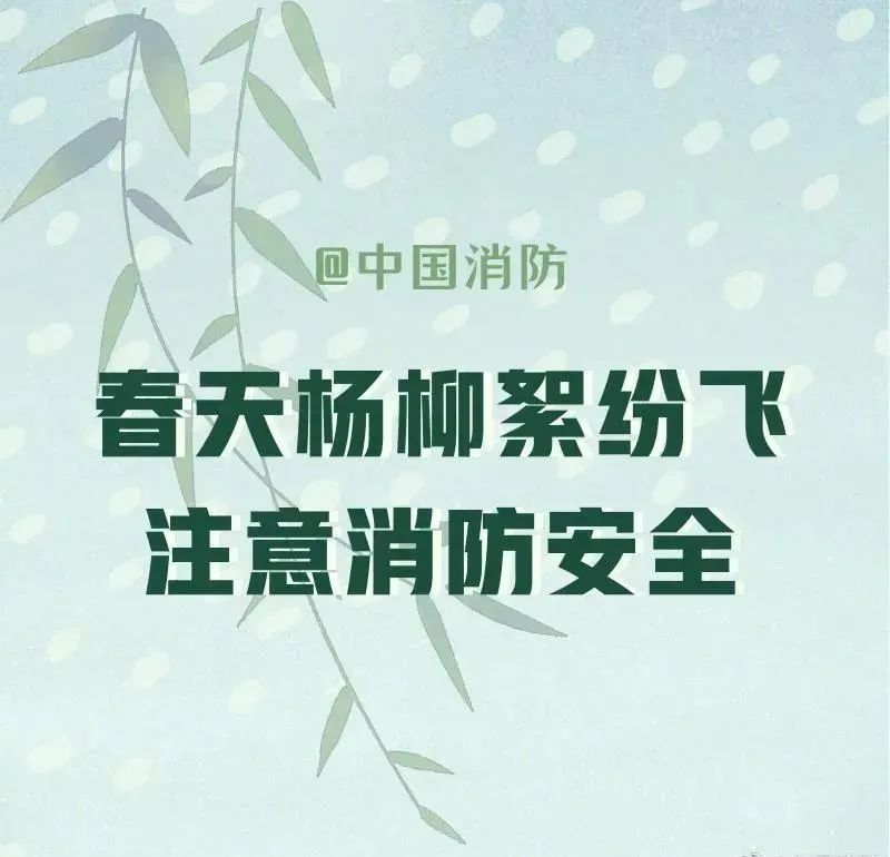 春季谨防杨柳絮着火!