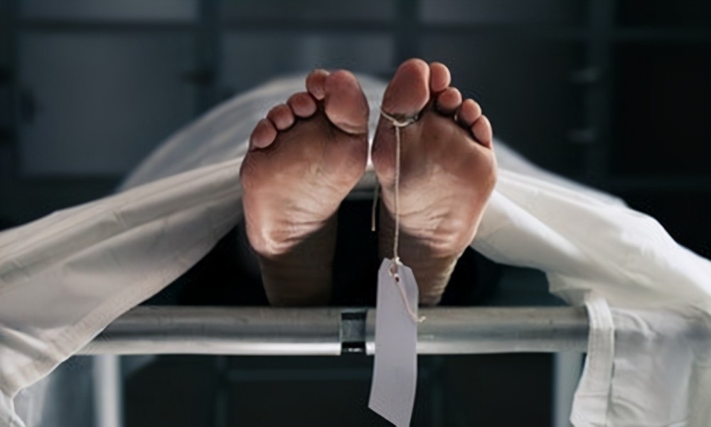 "死亡"可怕吗?科学家研究:死亡过程可能很舒适,甚至感到愉悦