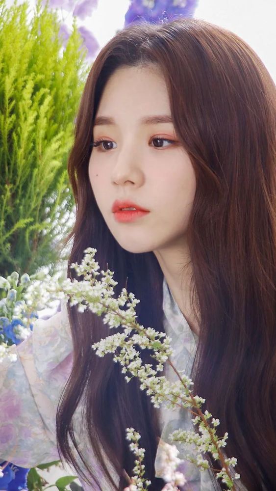 壁纸本月少女田姬振合集