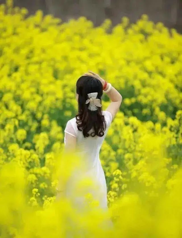 海燕说桃江花开半城