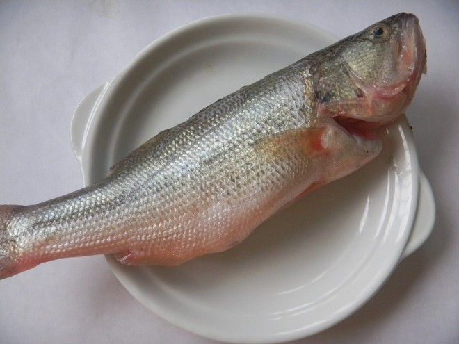 制作工艺:辅料:姜,蒜,番茄,沙司盐,糖,生抽各适量主料:淡水瓜鱼 一条