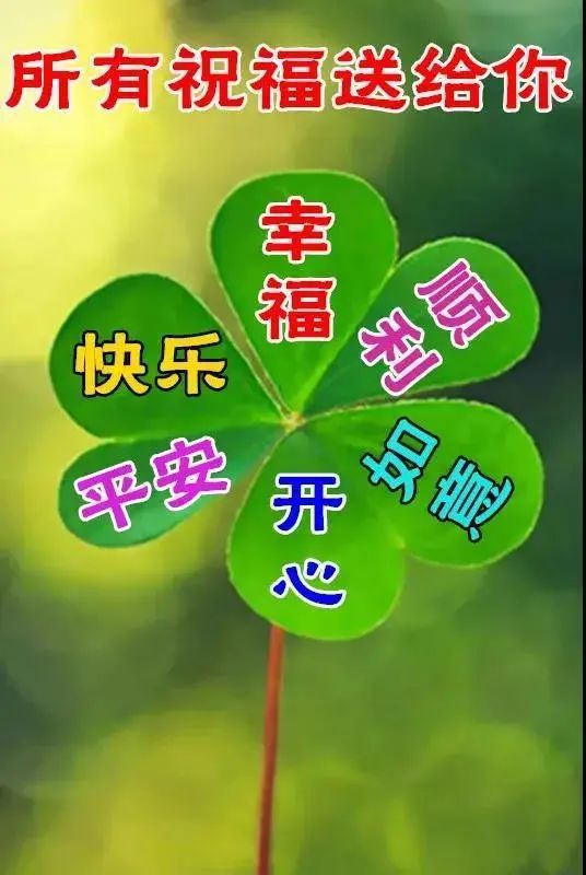 中老年表情包一声问候温暖在心