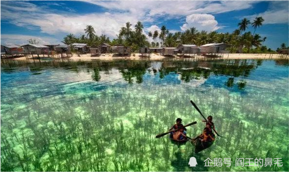 世界最危險的海70米的清澈度奪走無數人的生命