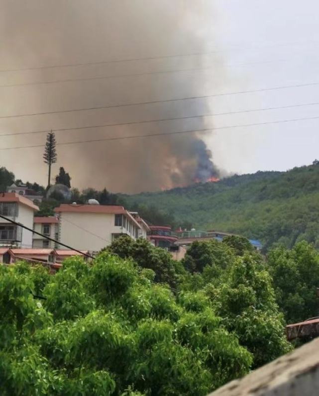 曲靖寥廓山着火图片