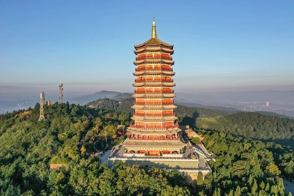 曲靖寥廓山景区突发森林火灾,灾后现场令人痛心!_腾讯新闻