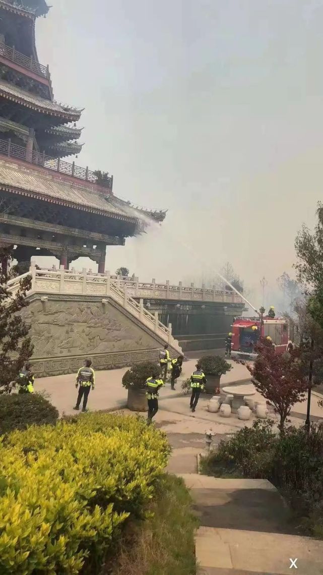 曲靖寥廓山景区突发森林火灾,灾后现场令人痛心!