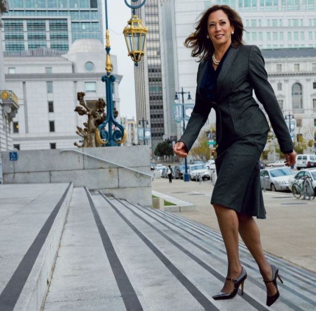 只因未被写入家庭短剧|卡马拉·哈里斯|道格·恩霍夫|玛雅·鲁道夫|埃