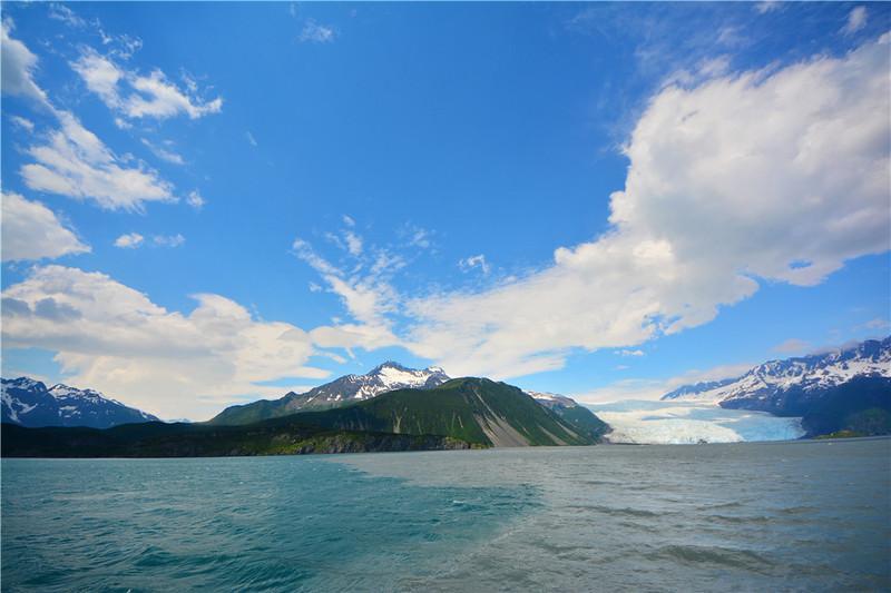 才发现阿拉斯加海湾最有意思的地方在于,这里的海面呈现两种颜色,主要