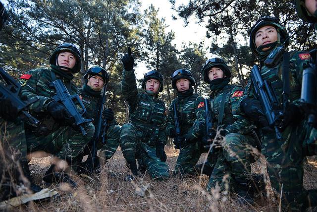 武警机动总队:正军级编制,直属武警总部,脱胎于14个武警机动师