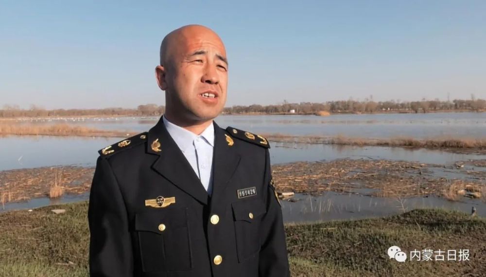 你追我赶.舞动.夕阳美景.一只天鹅带领"队员们"极速升空.怡静悠闲.