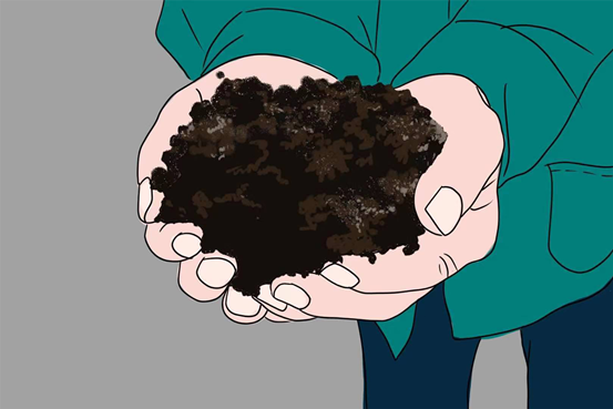 土壤的颜色东北黑土