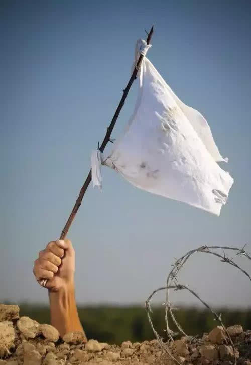 唯一把白旗当国旗的国家仅飘了1年如今是联合国五常之一