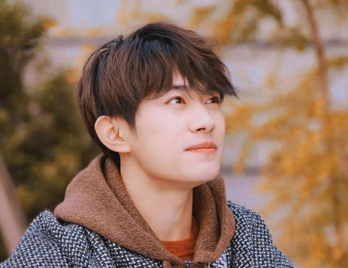 tfboys排行榜_2021最美偶像榜前3被TFBOYS包揽,TOP10只有迪丽热巴一位女明星?