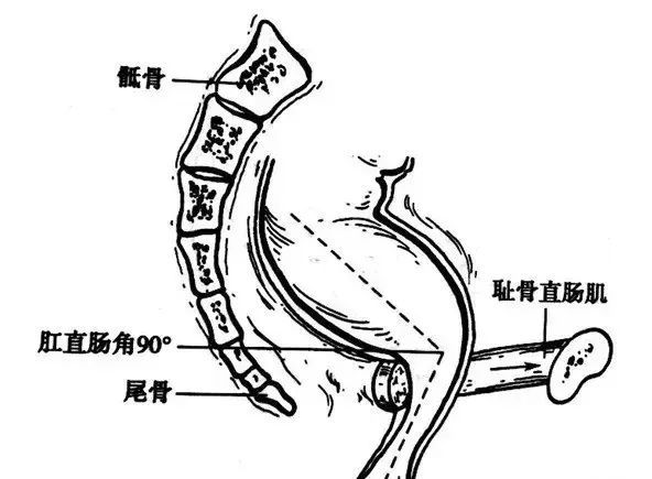 擦出来的十年腰痛,厕所里这事真尴尬!