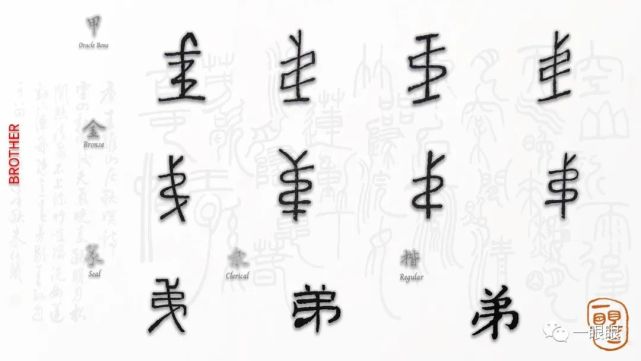 汉字趣谈:弟(314)|甲骨文|小篆|汉字