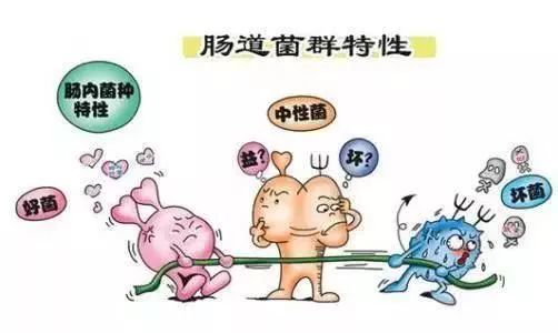 腸道不好的人排便若出現4個異常小心癌變3樣食物少吃點吧