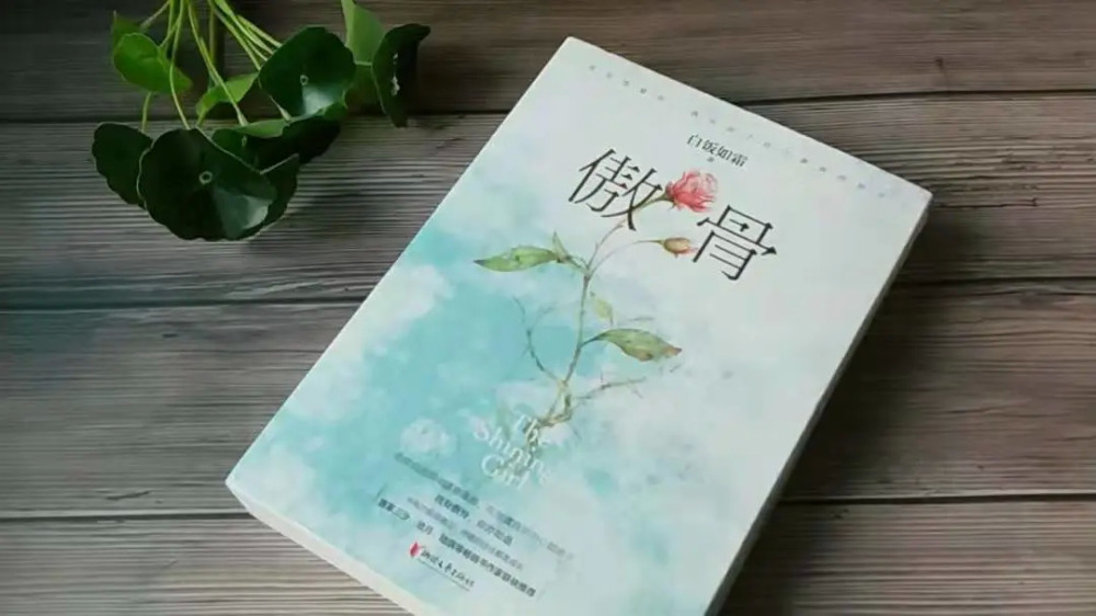 白饭如霜聚焦现实主义题材力作傲骨引发超热度话题