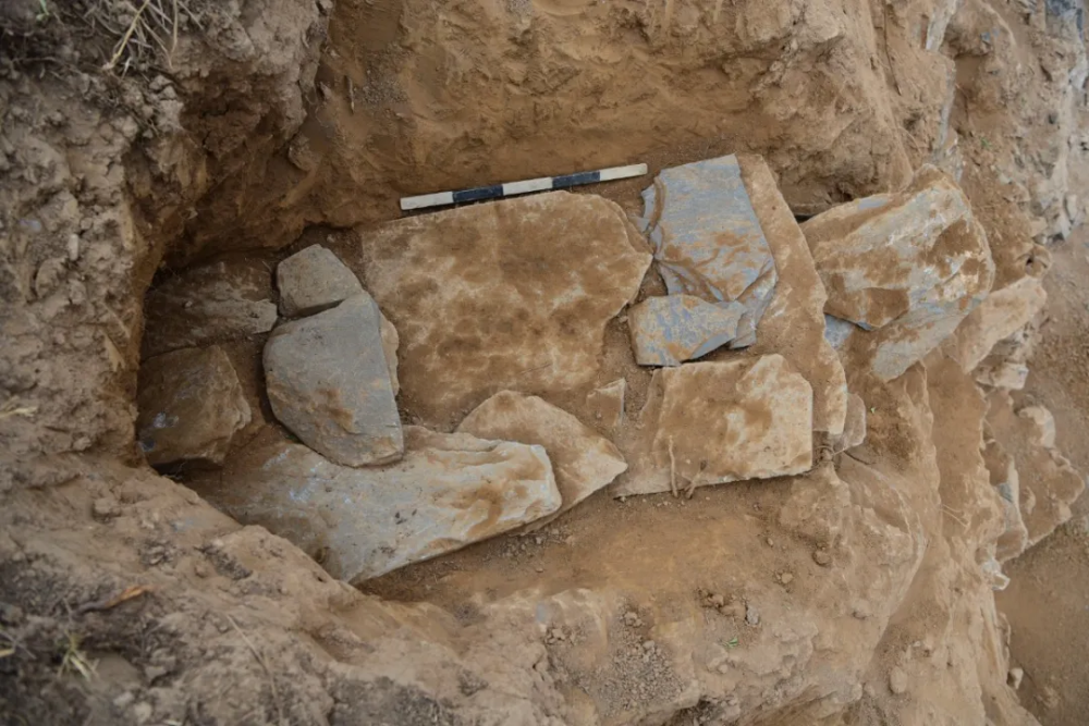 马尔康市白莎村发现石棺葬墓地