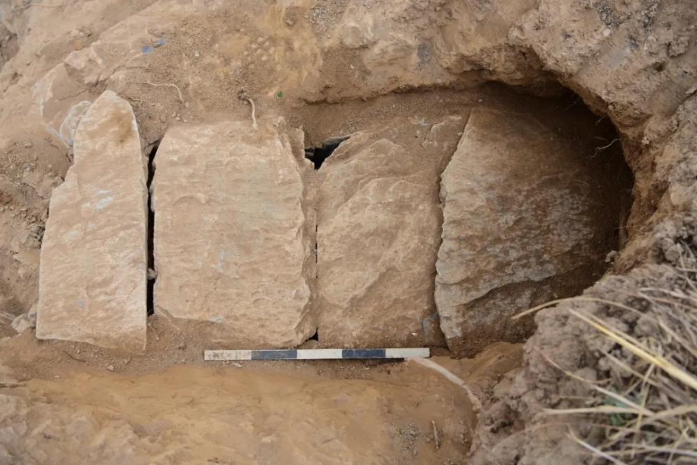 马尔康市白莎村发现石棺葬墓地