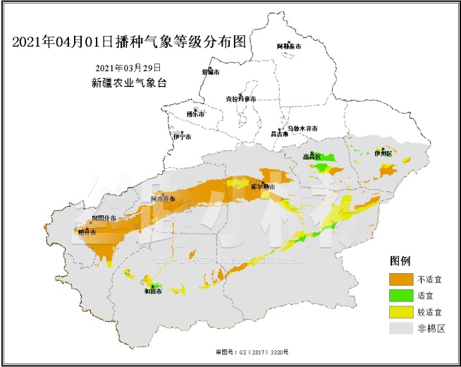 新疆:棉花播種氣象預報