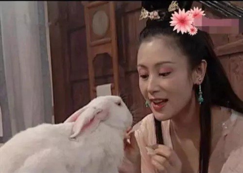 春光灿烂猪八戒演员现状有的逆生长有的变大妈还有两个坐了牢