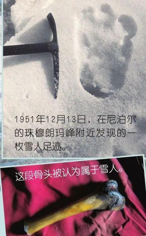 雪人:传说,还是真的存在?|棕熊|巨猿|汤姆巴兹|喜马拉雅山|雪人