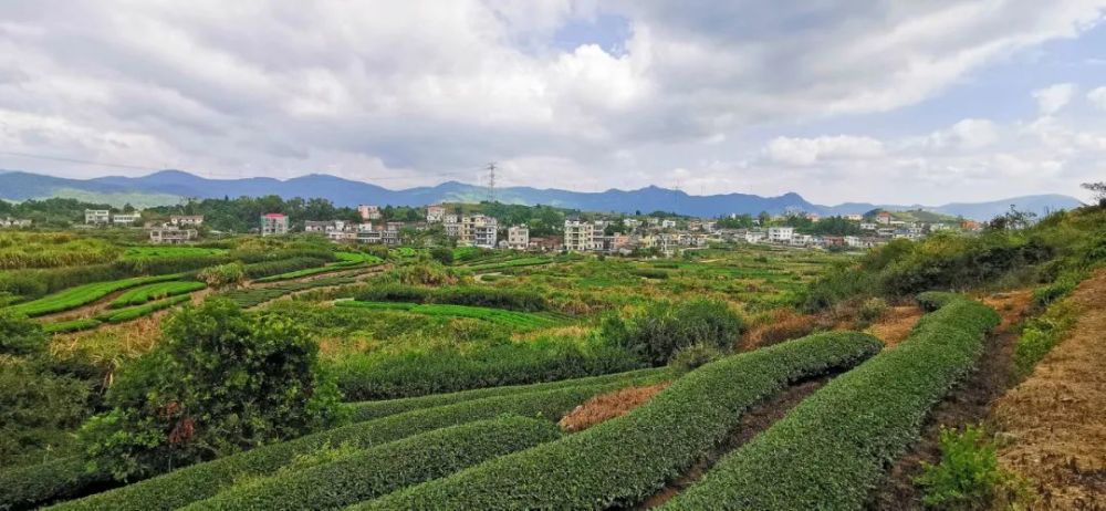 萩芦镇全域游推荐这条融合红色研学春游采摘温泉康养为一体的旅游线路