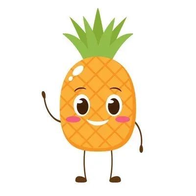 【动植物检疫】一文让你读懂如何顺利出口菠萝