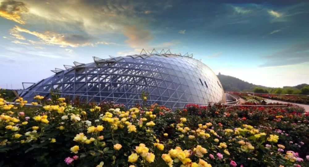 申城公园4月花展 活动预告 腾讯新闻