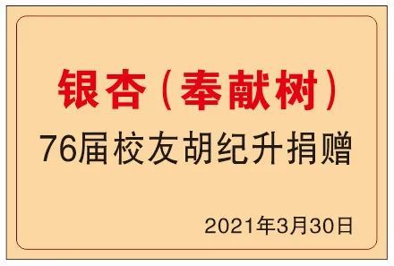 赞虹桥九小胡纪升校友向母校捐赠百年银杏树