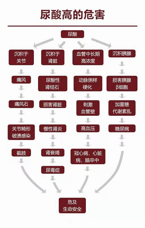 小黄母亲那边的男性亲戚包括外公,舅舅都患有痛风,当家长有痛风病史时
