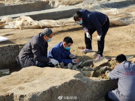 西安镐京遗址发现西周时期高等级建筑