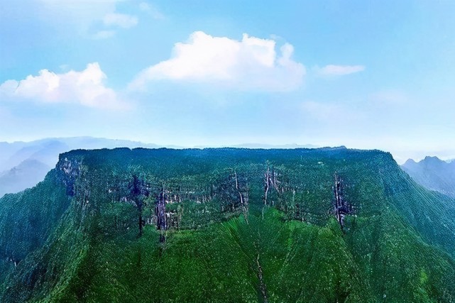 中国最大的森林公园图片