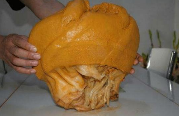 常说的"太岁",究竟是什么?专家:它违背了自然规律