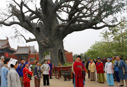 600年前的明朝大移民812個姓氏從洪洞大槐樹下出發有你的姓嗎