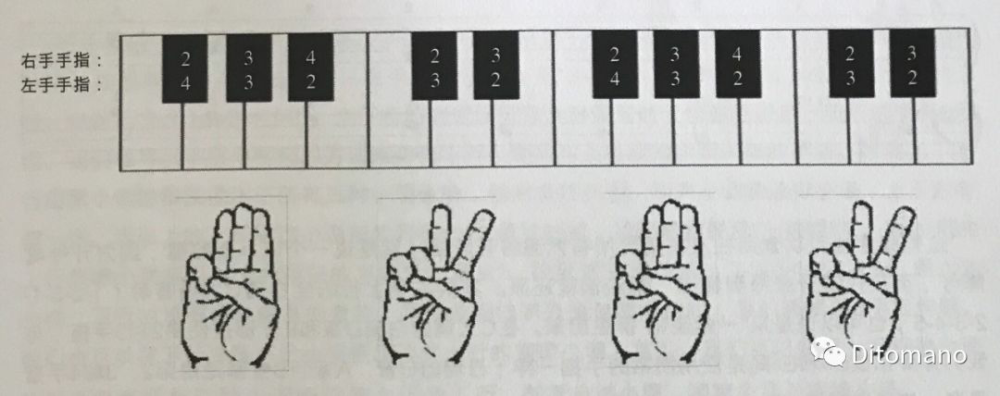 钢琴指法的原则4传统音阶指法