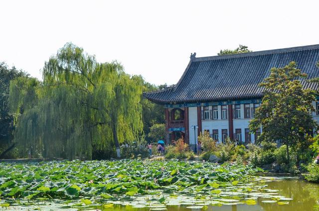 不少家長都帶孩子來北京大學,裡面的風景究竟有多美?_騰訊新聞